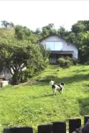 Casa campulung Muscel Strada Valea Barbusi - Miniatura 9