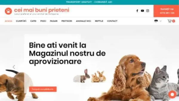 Creare Site Web - Imaginea 2