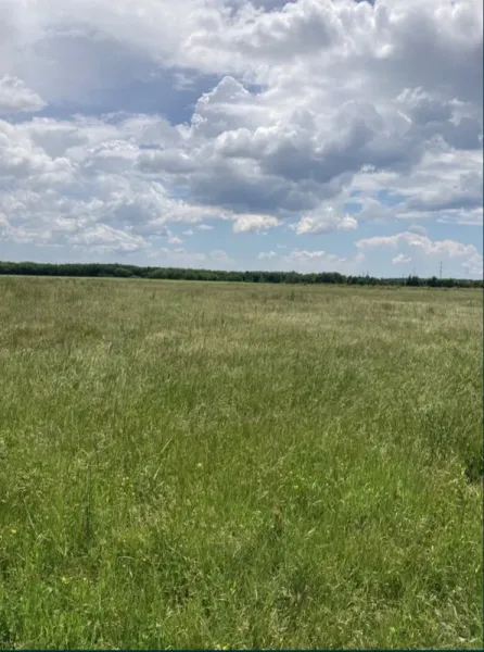 De vanzare teren intravilan oras Titu 10. 000 mp - Imaginea 2