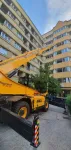 Inchirieri Utilaje Pentru Constructii, Activitati Speciale si Servicii conexe - Miniatura 3