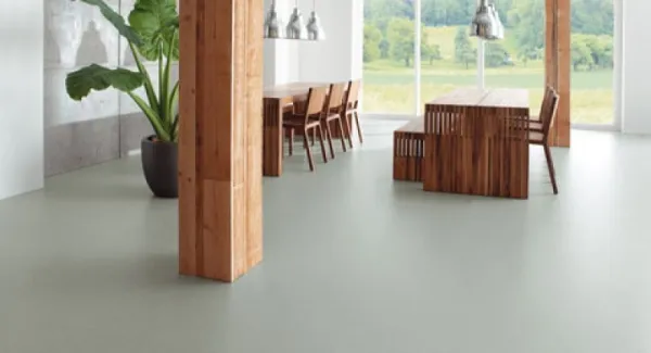 LINOLEUM - Imaginea 1