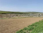 Un loc potrivit pentru casa ta - Miniatura 1