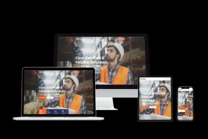 Creare siteuri web, automatizari web/ desktop data scraping/ posting