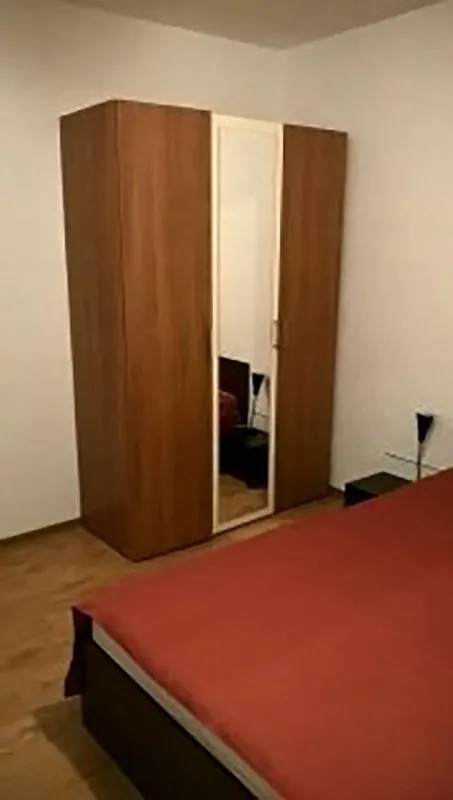 Apartament 2 camere de vinzare - Imaginea 5