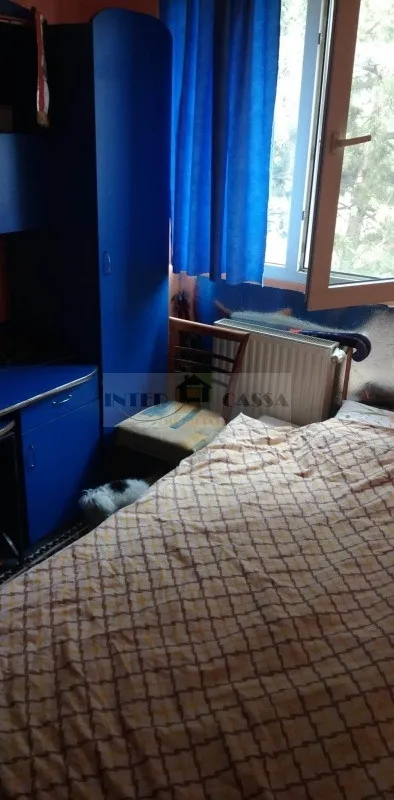 Apartament 3 camere Aleea Savinesti - Imaginea 4