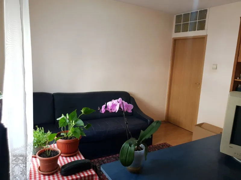 2 camere PB parter Oradea Rogerius str. Carpati - Imaginea 10
