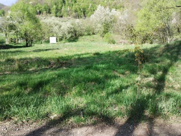 TEREN IN Zimti - Imaginea 3