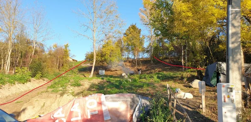 Proprietar vand 1 x parcela teren intravilan de 2. 084 m2 la Vizma - Secas, Timis - Imaginea 3