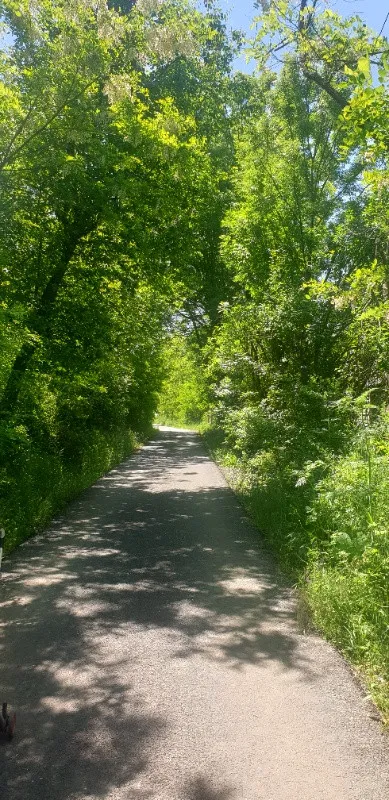 Proprietar vand 1 x parcela teren intravilan de 2. 084 m2 la Vizma - Secas, Timis - Imaginea 7