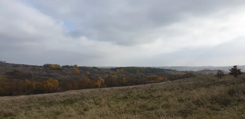 Proprietar vand 1 x parcela teren intravilan de 2. 084 m2 la Vizma - Secas, Timis - Imaginea 12
