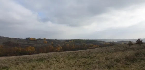 Proprietar vand 1 x parcela teren intravilan de 2. 084 m2 la Vizma - Secas, Timis - Imaginea 12