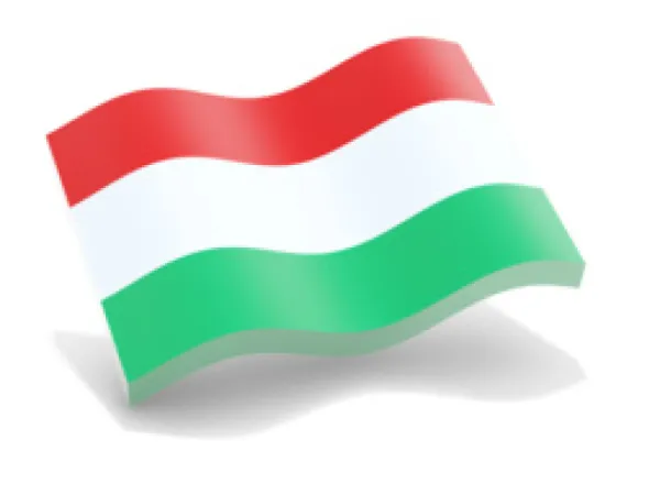 Maghiara- engleza- italiana - Traducator autorizat in Romania + Bucuresti - Imaginea 1