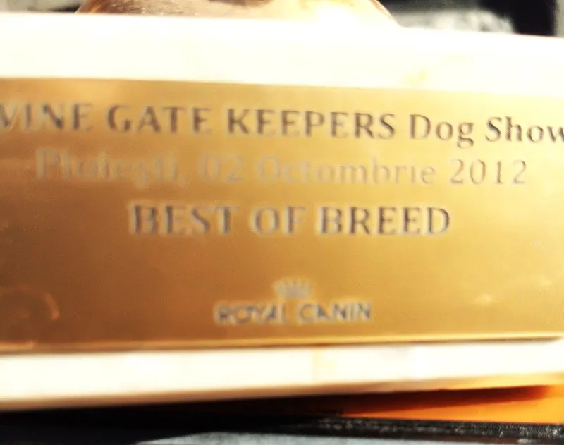 Trofee CACIB, concurs canin nivel international - Imaginea 2