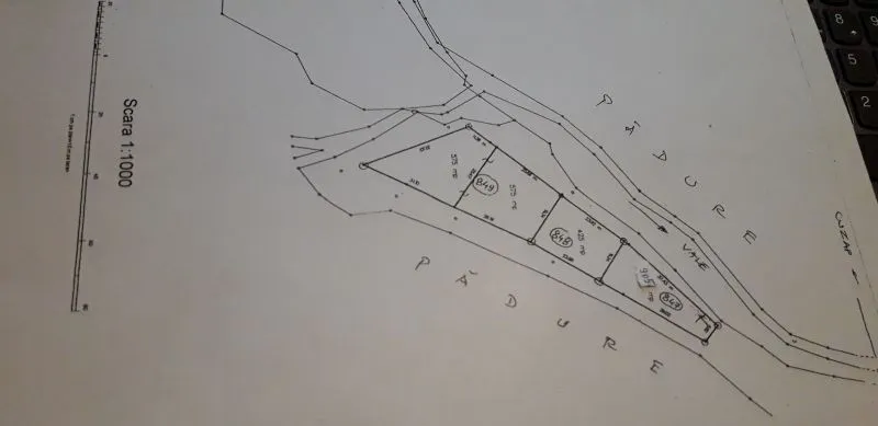 Vand teren intravilan, central in Padurea Neagra - Imaginea 1