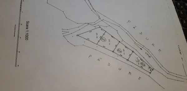 Vand teren intravilan, central in Padurea Neagra - Imaginea 1