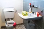 Instalator tehnico- sanitare_ Bucuresti & Popesti Leordeni - Miniatura 1