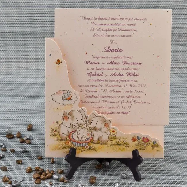 invitatii botez  - Imaginea 4