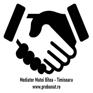 BIROU DE MEDIATOR  -  MATEI BÎTEA - Timișoara