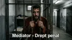 Birou de Mediator Matei Bîtea: online sau la birou... - Miniatura 4