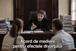 Birou de Mediator Matei Bîtea: online sau la birou... - Miniatura 5