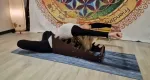 Simulator. Paschimo-props. - Miniatura 5