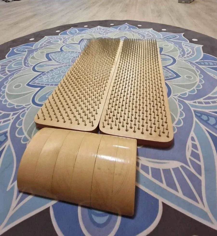 Placa anatomicа Sadhu. - Imaginea 3