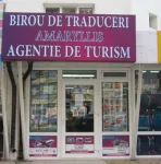 EFECTUAM TRADUCERI AUTORIZATE  DIN/IN ORICE  LIMBA - Miniatura 2