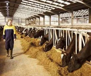 Conditii bune de munca in Germania