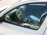 Skoda Octavia 2011 - ca si noua - Miniatura 10