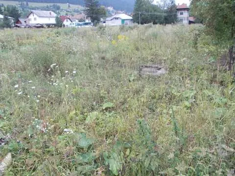 Teren 6000 mp, centru - Imaginea 3