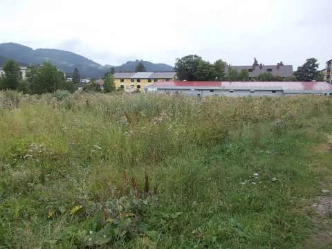 Teren 6000 mp, centru - Imaginea 5
