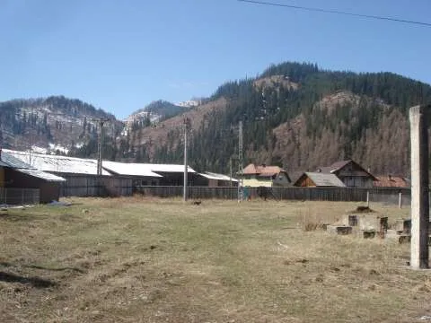 4000mp teren in Sadova - Imaginea 2