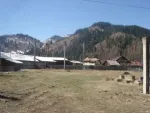 4000mp teren in Sadova - Miniatura 2