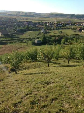 Vand teren in com Apahida str. Cojocnei (langa Guzu) - Imaginea 1