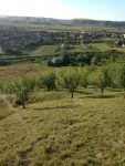 Vand teren in com Apahida str. Cojocnei (langa Guzu) - Miniatura 1