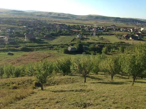 Vand teren in com Apahida str. Cojocnei (langa Guzu) - Imaginea 2