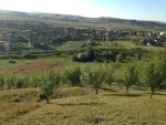 Vand teren in com Apahida str. Cojocnei (langa Guzu) - Miniatura 2