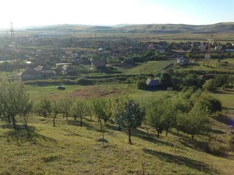 Vand teren in com Apahida str. Cojocnei (langa Guzu) - Imaginea 4