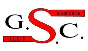 GENERAL SERVICE COM