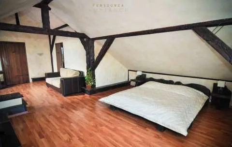 Va asteptam la Pensiunea Ambiance in Bucovina! - Imaginea 3