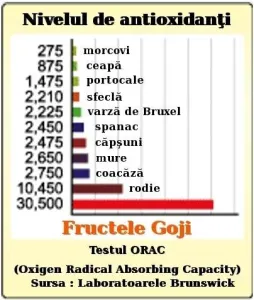 vand schimb GOJI soiul NINGXIA NQ1