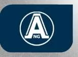 ANGHEL N.G.