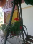 Casa de vanzare - Miniatura 2
