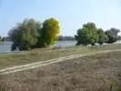 Vand terenuri in delta - Imaginea 1