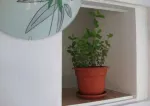 Apartament superb, 3 camere, Tulcea - Miniatura 5