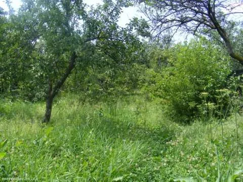 Vand teren intravilan, Mioveni - Imaginea 4