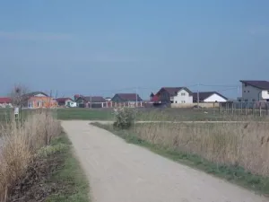 Terenuri intravilane+utilitati la lot/Berceni-Ilfov