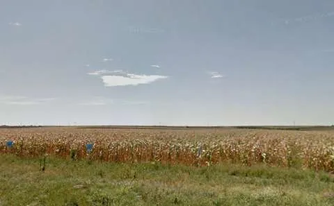 Cumpar Padure si Teren Agricol - Imaginea 1