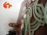 DISC SEMANATOARE NODET - Miniatura 4