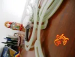 DISC SEMANATOARE NODET - Miniatura 5